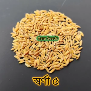 স্বর্ণা -৫ (২ কেজি)