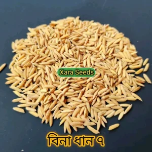 বিনা ৭ (২ কেজি)