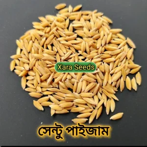 সেন্টু পাইজাম (২ কেজি)