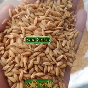 গুটি স্বণা (২ কেজি)