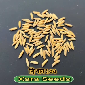 ব্রি ধান ১০৩ (২ কেজি)