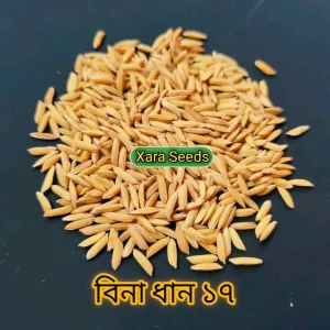 বিনা ১৭ (২ কেজি)