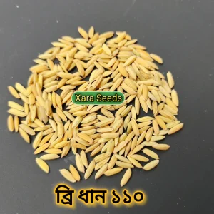 ব্রি ধান ১১০ (২ কেজি)