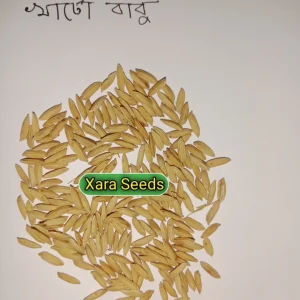বাবু - ২৮ (২ কেজি)
