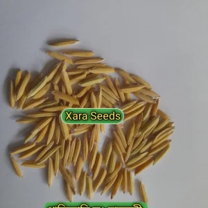 পাকিস্তান লং বাসমতী (২ কেজি)