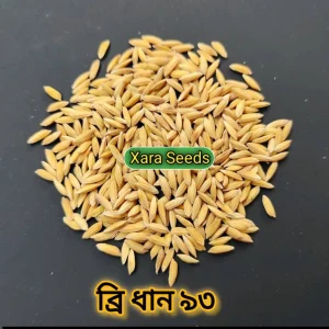 ব্রিধান ৯৩ (২ কেজি)